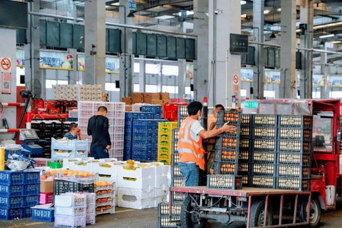 便宜到笑不動 上海隱藏的新鮮水果批發(fā)地 散戶也能買 附掃貨攻略